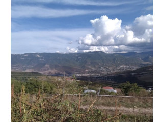 Տնամերձ հողամաս