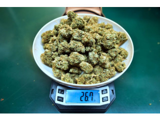 WhastApp BUY eutylone ,COKE, Hashish weed KU,NU, Alprazolam,Etizolam, protonitazene, metonitazene,etazene,bromazolam mdma crystals